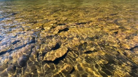 Shallow Lake Stock Footage 251509383