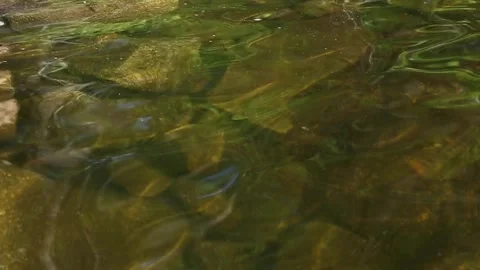 SHALLOW LAKE Stock Footage 259320712