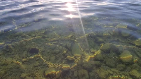 Shallow lake with rocks covered in moss 動画素材 130544059