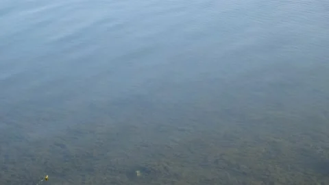 Shallow lake water Stock Footage 208176855