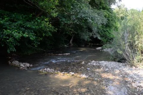 Shallow mountain river, the bottom of a mountain river of stones and gravel. Stock Photos