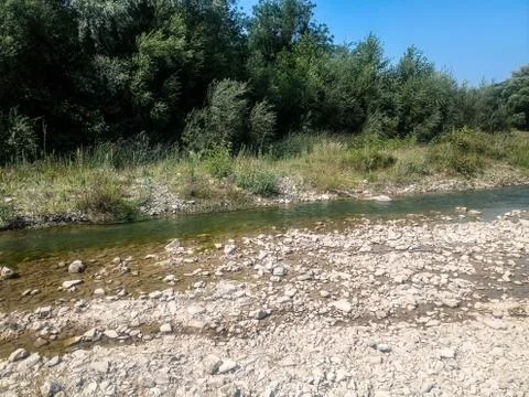 Shallow mountain river, the bottom of a mountain river of stones and gravel. Stock Photos