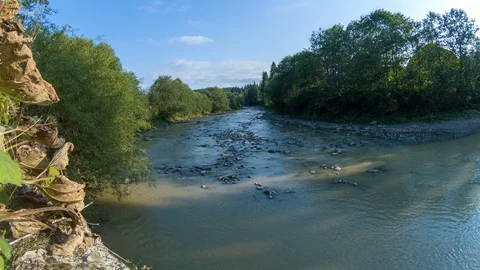 A shallow mountain river with a fast flow in the Carpathian mountains with a Stock Footage 114992722