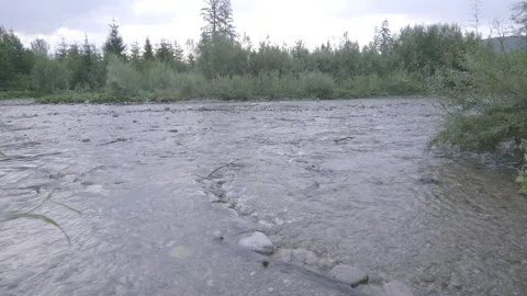 Shallow Mountain River Flowing Over Stones Video stock 330053033