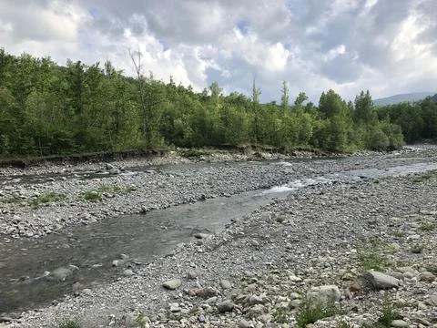 A shallow mountain river flows through a wide pebble bank near a dense forest Stock Photos