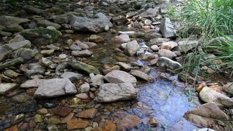  Shallow mountain river. Stock Footage 111399869