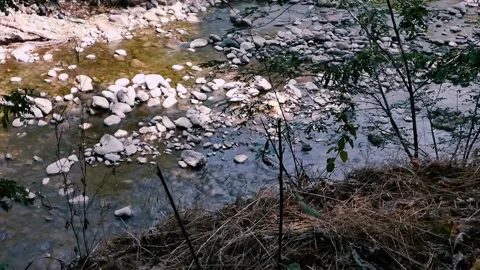 A shallow mountain river. Stock Footage 138676198