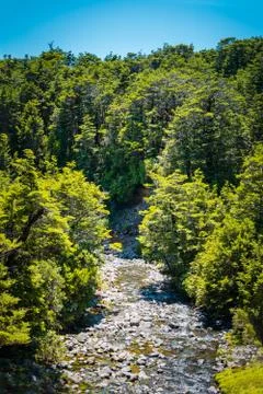 Shallow mountain stream flowing over rocks amid lush greenary of the banks Stock Photos