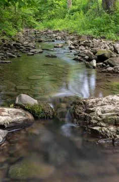 Shallow mountain stream in green forest at summer, water flows over wet stone Stock Photos