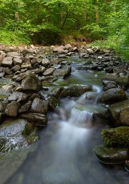 Shallow mountain stream in green forest at summer, water flows over wet stone Stock Photos