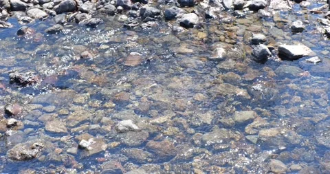Shallow mountain stream with a rocky bottom. Reflections on the water Stock Footage 196128124