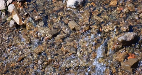 A shallow mountain stream with a rocky bottom. Meltwater coming down Stock Footage 207002819