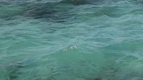 Shallow ocean with clear water Stock Footage 218395127