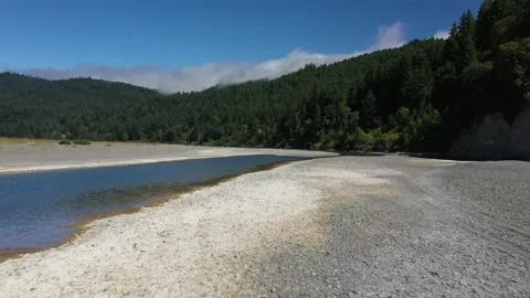 Shallow pebble river through lush forest - low flight Stock Footage 152662585