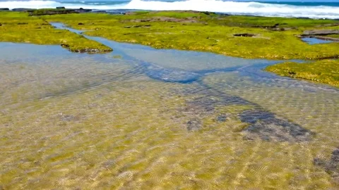 Shallow pool of crystal clear water on rock beach Stock Footage 71262618