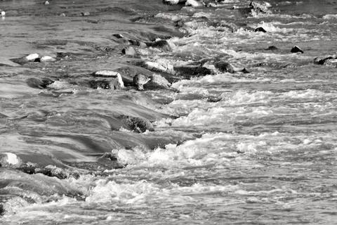 Shallow Rapids Flowing Over Rocks in the Santa Ana River Stock Photos