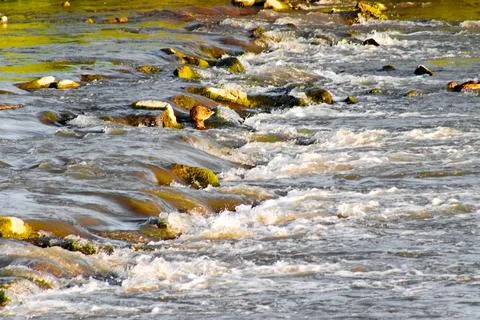Shallow Rapids Flowing Over Rocks in the Santa Ana River Stock Photos