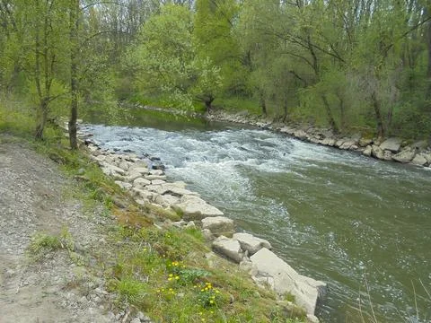 Shallow rapids on a large river in the forest during spring. Stock Photos