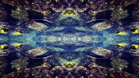 Shallow reef mirror Stock-Footage 82252127