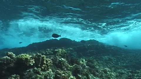 Shallow reef surge Stock Footage 106689061