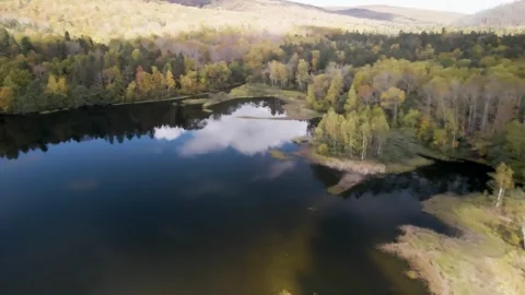Shallow Reservoir Shore Stock Footage 337226847