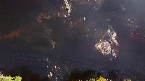 Shallow River Aerial Stock Footage 321143253
