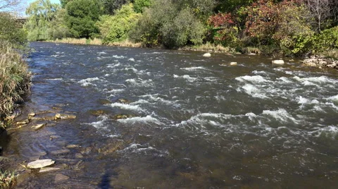 Shallow River and Rapids (4K) Stock Footage 42816265