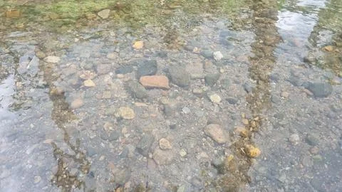 A shallow river and some river rocks. Shining colorful stone pebbles underwater. Stock Photos
