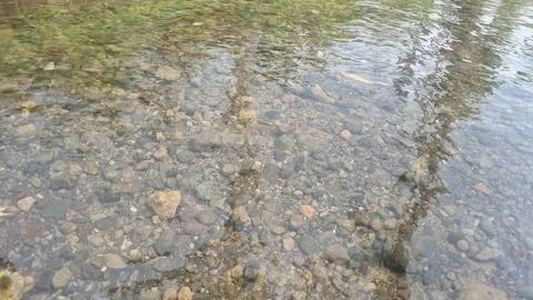A shallow river and some river rocks. Shining colorful stone pebbles underwater. Stock-Fotos