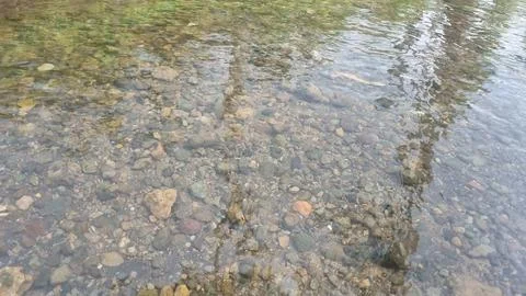 A shallow river and some river rocks. Shining colorful stone pebbles underwater. Stock-Fotos