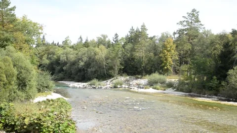 Shallow River in Austria Stock Footage 204908997