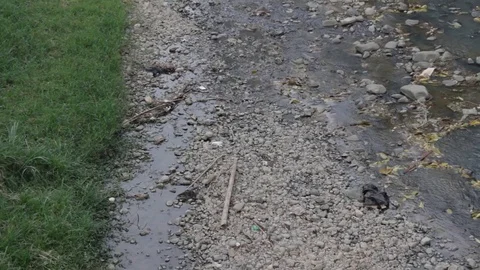 Shallow river below the Cali Tower in Colombia Stock Footage 122307735
