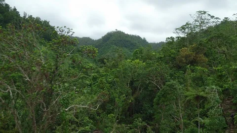 Shallow river between the green lush mountains in the forest Stock Footage 105418262