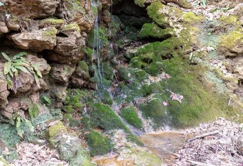 Shallow river bottom with a small current in the spring period with various s Stock Photos