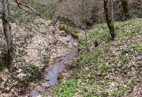 Shallow river bottom with a small current in the spring period with various s Stock Photos