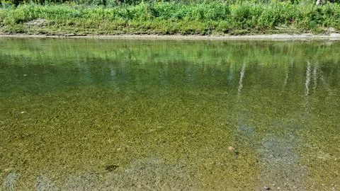 Shallow river branch Stara Drava Varazdin Croatia with a pebble bottom Stock Photos
