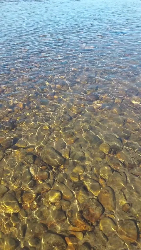 Shallow river with clear water Stock Footage 313998314