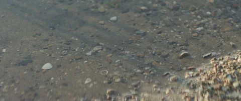 Shallow river Danube water with a bottom 5.7K scope video Stock Footage 315777428