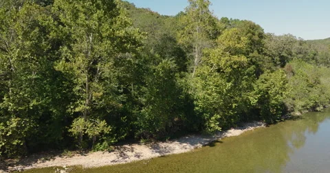 Shallow River In Dense Forest With A Road Bridge In Devil's Backbone Wilderness Stock Footage 323439987
