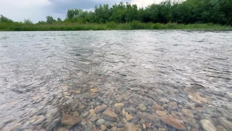 Shallow river with a fast current flows over a rocky bed.  Stock Footage 339092453