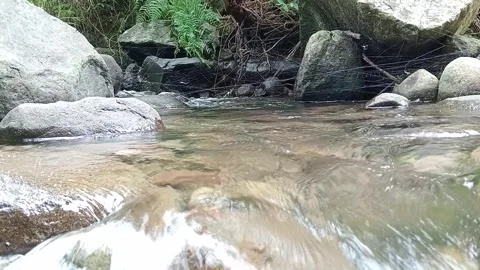 Shallow River Flow with Clear Water and Stones | Nature Background Stock Footage 330561818