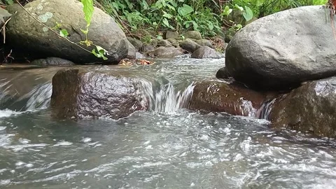 Shallow River Flow Over Stones with Natural Water Movement Stock Footage 330332096