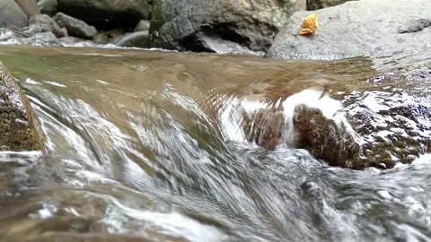 Shallow River Flow Over Stones Calm Natural Water Texture Stock Footage 330581780