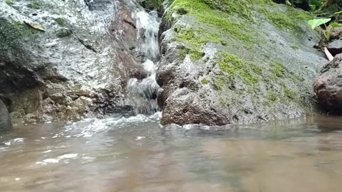 Shallow River Flow Over Stones with Natural Light Reflection Stock Footage 331863340