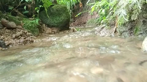 Shallow River Flow Over Stones in Tropical Forest Landscape Stock Footage 332068191