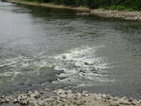 Shallow river flow with rocks and ripples 写真素材