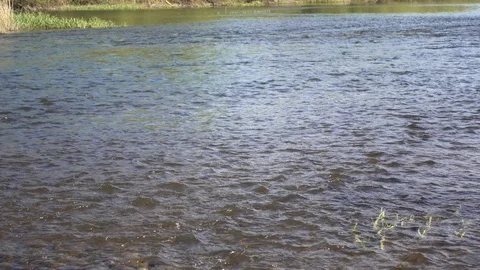 Shallow river flow at spring sunny day, 4K UHD video footage Stock Footage 86010820