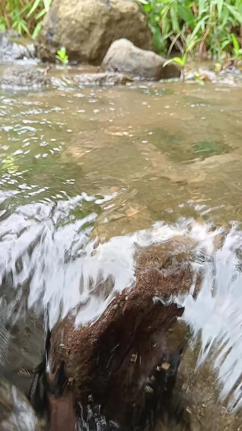 Shallow River Flow with Visible Sand and Stones Stock Footage 330329782