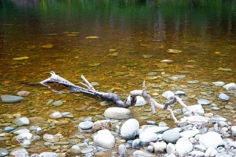 Shallow river flowing over white rocks 스톡 사진