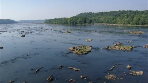 Shallow river flowing through the dense forest, Rocks in water, approaching Stock Footage 109130742